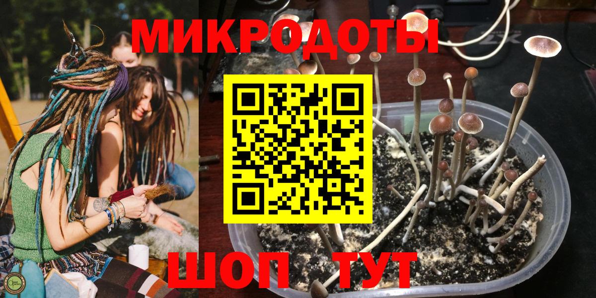 Апатиты  Галлюциногенные грибы MAGIC MUSHROOMS  Вход с VPN 